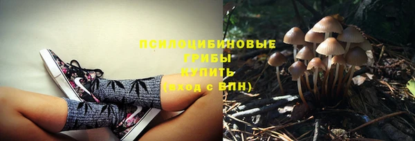 сатива Алексеевка