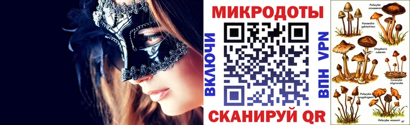 дарнет шоп  мега ссылки  Галлюциногенные грибы ЛСД  Чадан 